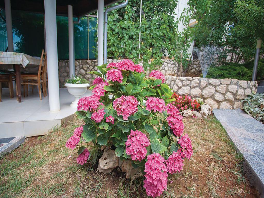 Apartments Vesna ปิเนซิตซี ภายนอก รูปภาพ