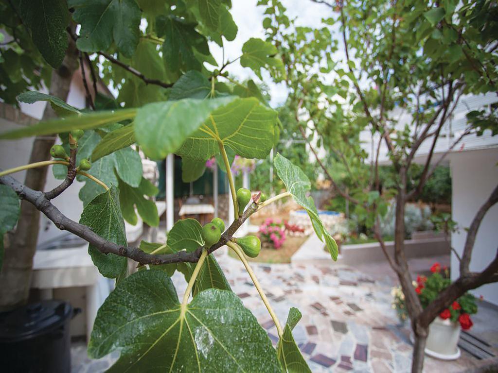 Apartments Vesna ปิเนซิตซี ภายนอก รูปภาพ